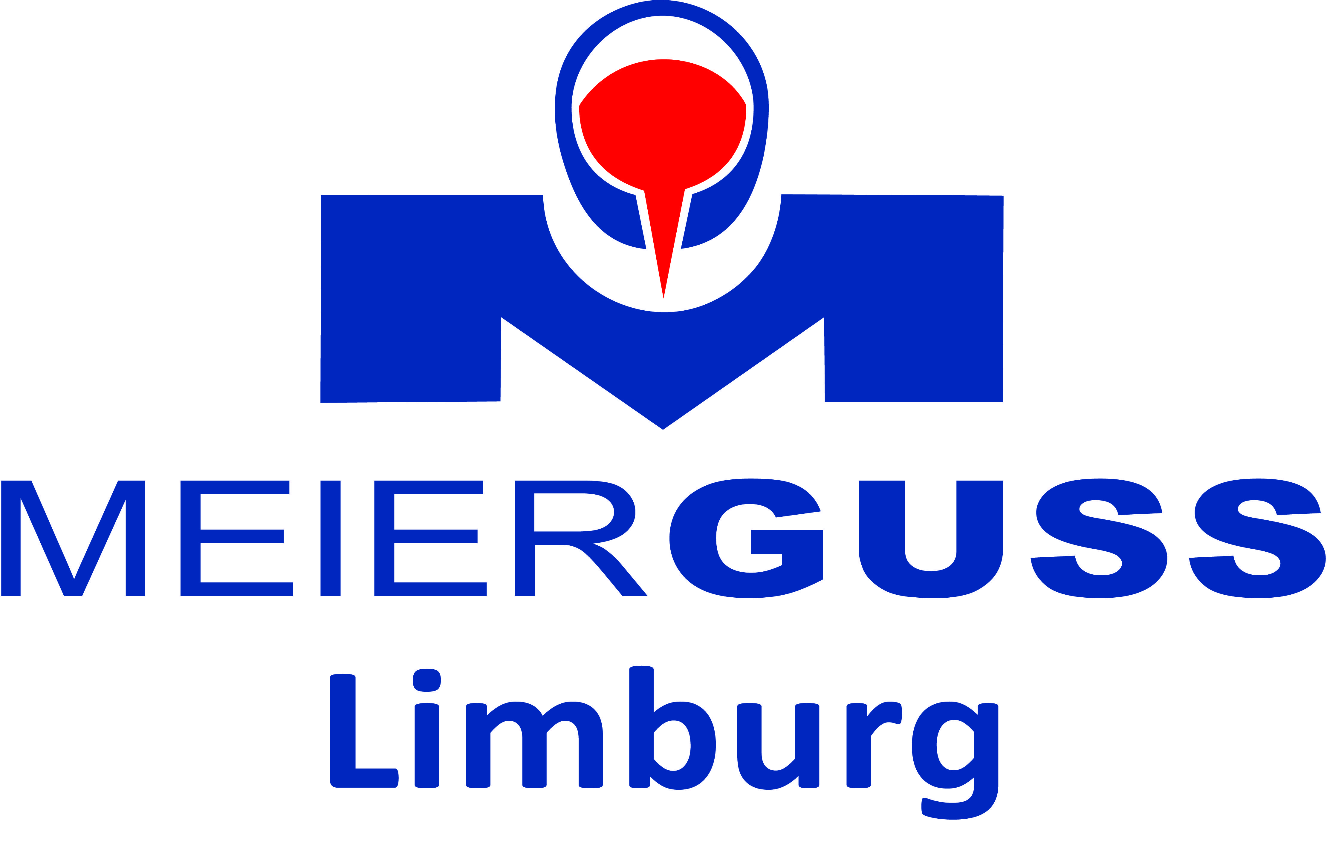 Meier Guss Limbuer